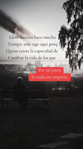#amoralosgatos❤️ #bbcitho00 #reflexiónes 