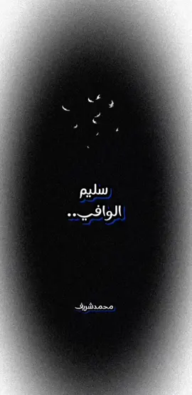 #سليمالوافي#fypシ #العراق #اكسبلورexplore 