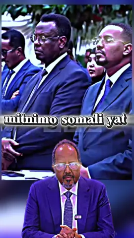 dhiri nanyalaidinkawayin somali tiktok 