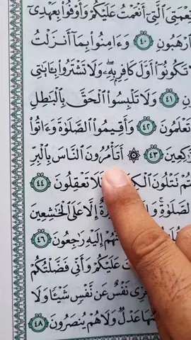 Recitation Of Quran Surah Al-Baqarah 📖 🎧  #🤍 #quran #fyp #fypシ #viral 