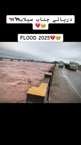 RIVER CHENAB FLOOD 2025🐃🐂🥹💔
