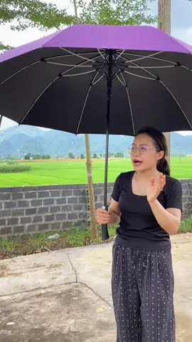 Ô dù to đi mưa đi nắng #xuhuong #viral #ôdinangdimua #ôdu #ô144nan 