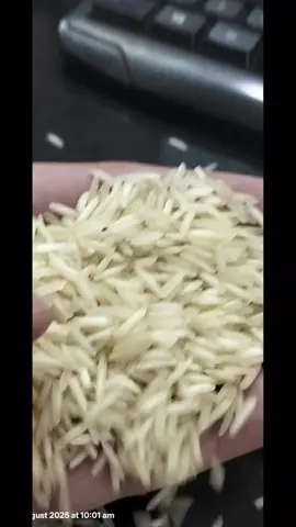 Excellent Rice 🍚🌾  #foryou #foryou #fypシ゚viral #ekspresikandengancapcut 