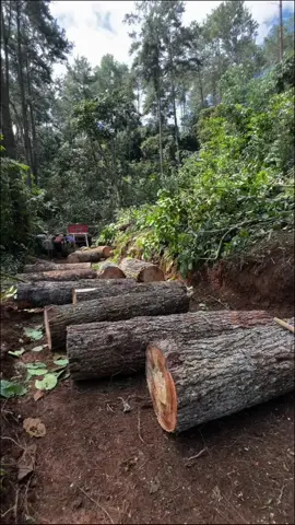 Gelar Supllier Lebih menggoda 🤙