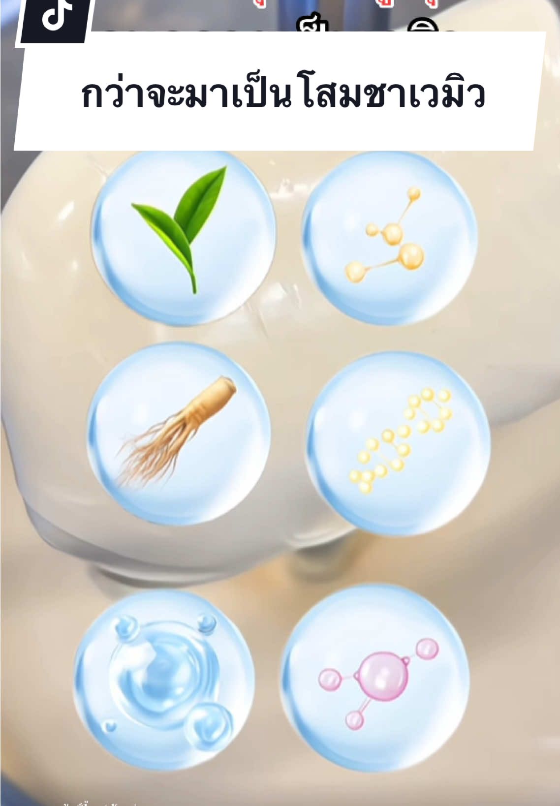 ยกสารสกัดมาเสิร์ฟให้ผิวแบบเต็ม ๆ #ครีมโสมชาเวมิว #vemiu #เวมิว #ครีมเวมิว #รีวิวของดีบอกต่อ 