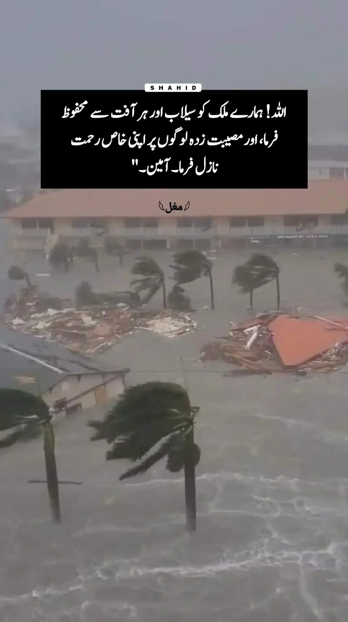 #urdu #floodpakistan #flood #سیلاب 