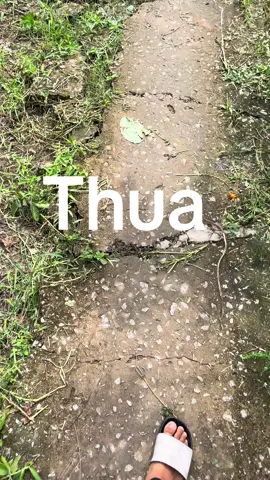 Nhiều cái chán không muốn nói 