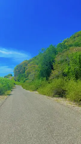 Lintas utara FLORESSS #manggaraitimurpride🔥🌴 #florespride🏝🔥 #nttpride🏝🔥 #view 