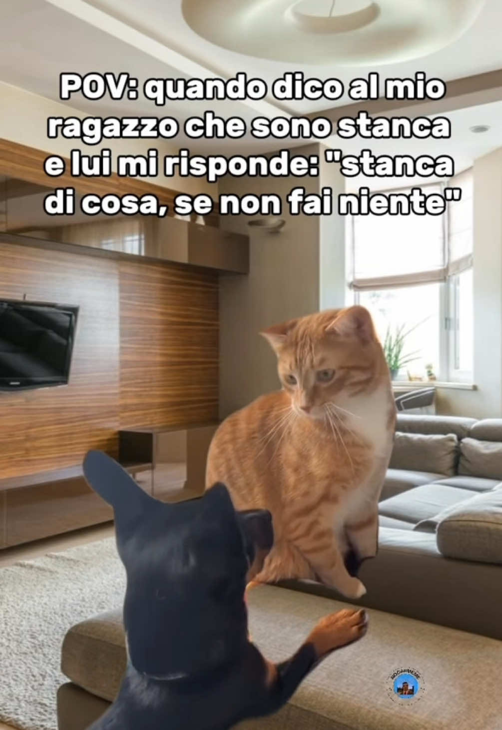 Se hai riso, mi merito il follow!  #fidanzati #amore #coppia #ragazze #girl 