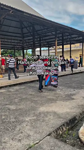 Sikat ae🫠  #storykicaumania #muraibatumania #muraibatu #kicaumania #muraibatuindonesia 