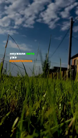 31 августа #CapCut #шаблоныдлякапкут #шаблон 