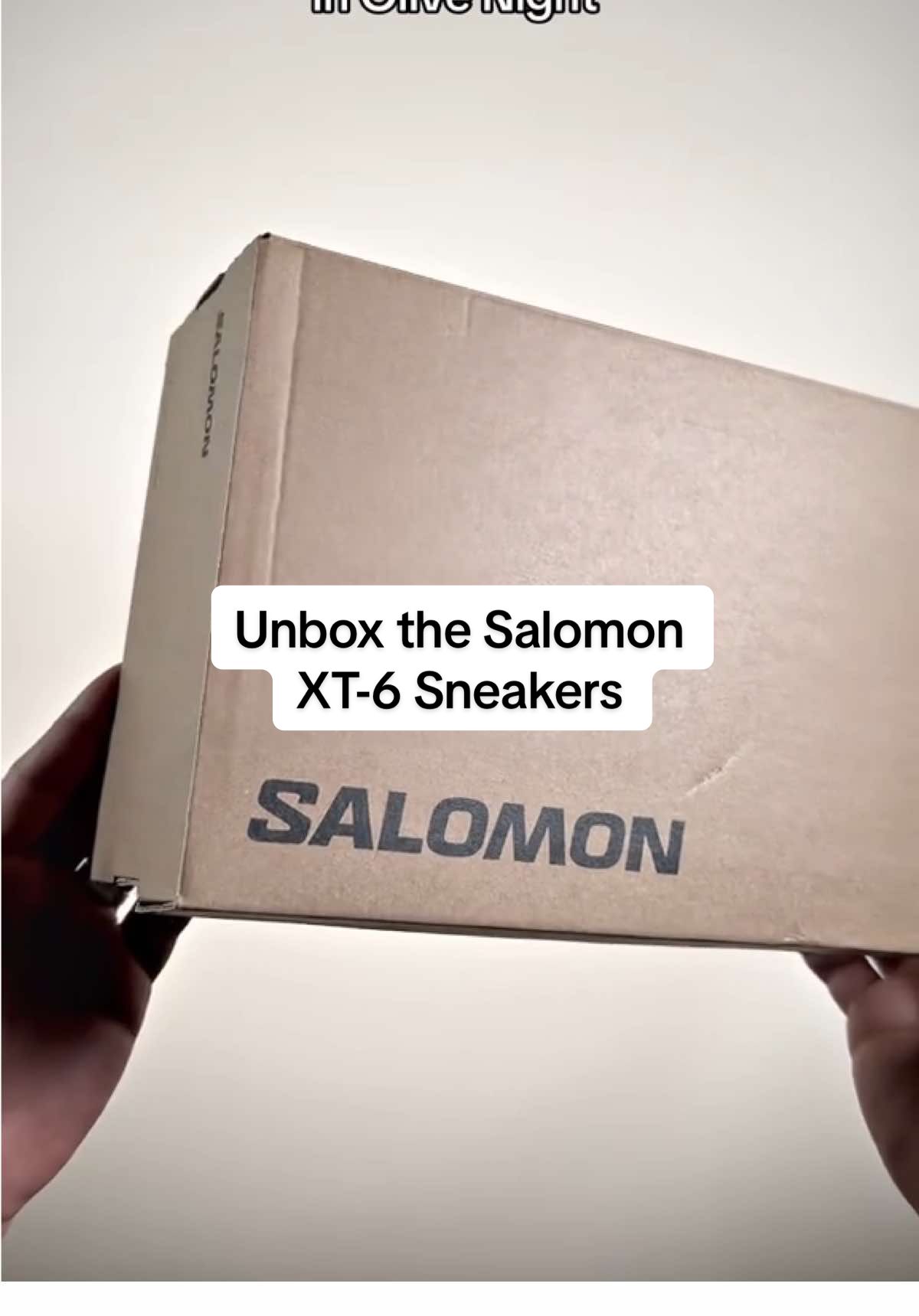 The sneakers you don’t want to miss out on.  #salomon #salomonxt6 #sneakers #bestshoestobuy #gorpcore 