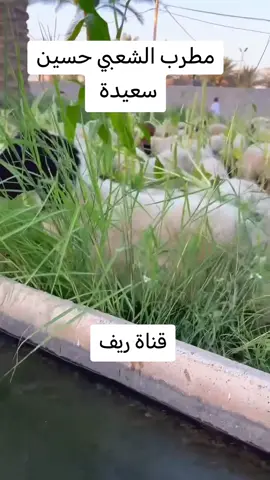 حسين سعيدة#ون ولينه