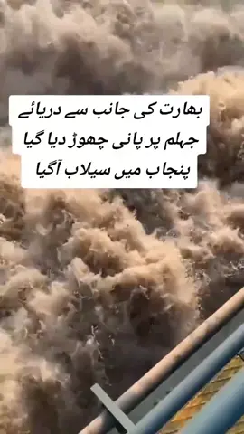 #foryou #سیلاب #punjab #pakistan #flood 