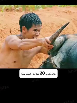 لقد شاهدت المسلسل بأكمله بسبب هذا الفيديو، وكانت النهاية صادمة لي.