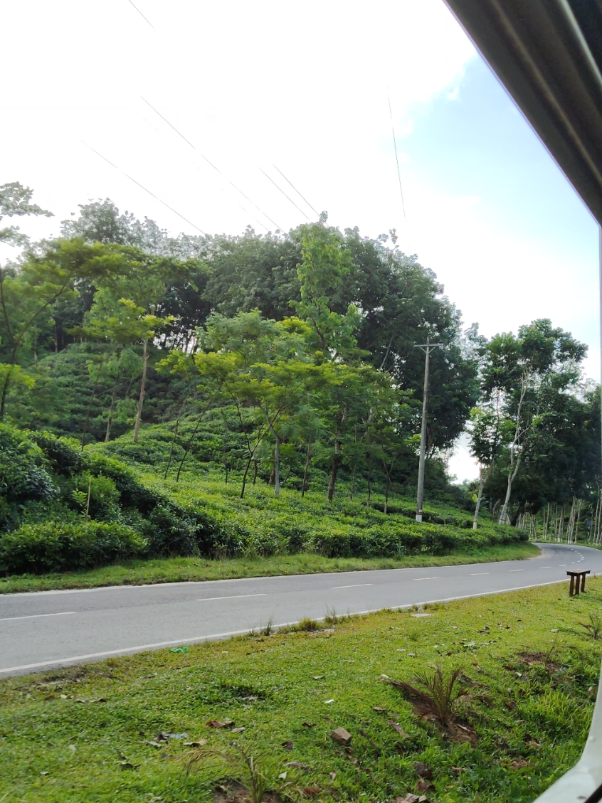 Best place in Sylhet? জানেন কোথায় আছে এই জায়গাটা? #bangladesh🇧🇩 #mahushipa #fyp #nature #sylhet 