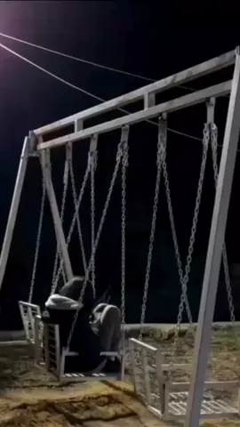 Dil Khoya Khoya Gumsum  … . .  #reels #afghanistan  #viral #Love#hindi 