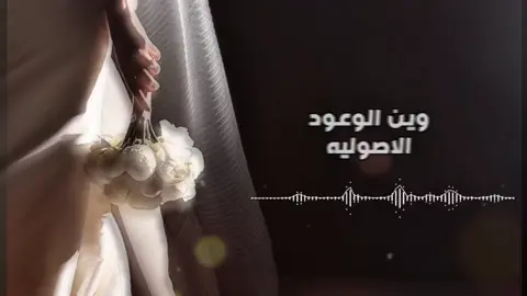 #يانوار حبك عدا سنجار#حزن_غياب_وجع_فراق_دموع_خذلان_صدمة #كسبلوررررررررر 