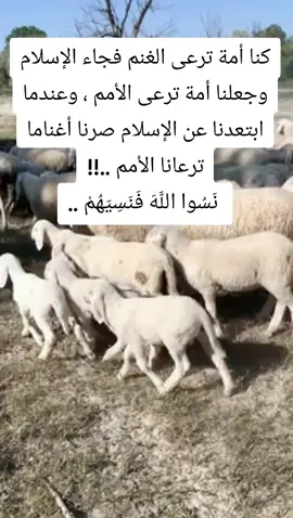 كنا أمة ترعى الغنم ..✊ #creatorsearchinsights2025  #مصرالسعودية_الكويت_العراق_المغرب_الجزائر 