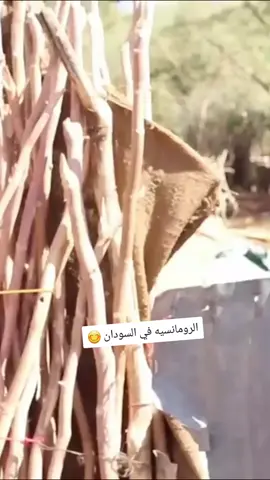 الأجانب ما يشوفونا 😄كشف الرومانسيه السودانيه وجمالها😊#صانع_الفيديوهات #محمدكمال 