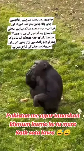 ہمارا کام آپ تک جانواروں اور پرندوں کی معلومات پنچا نہ ہے۔ہما رے چینل کو فالو کریں اور ہمے سپورٹ کریں شکریہ ۔🤗 ‎#jurassicworldandpark #surkhaab #birds #birdlovers #birdsounds                 ‎