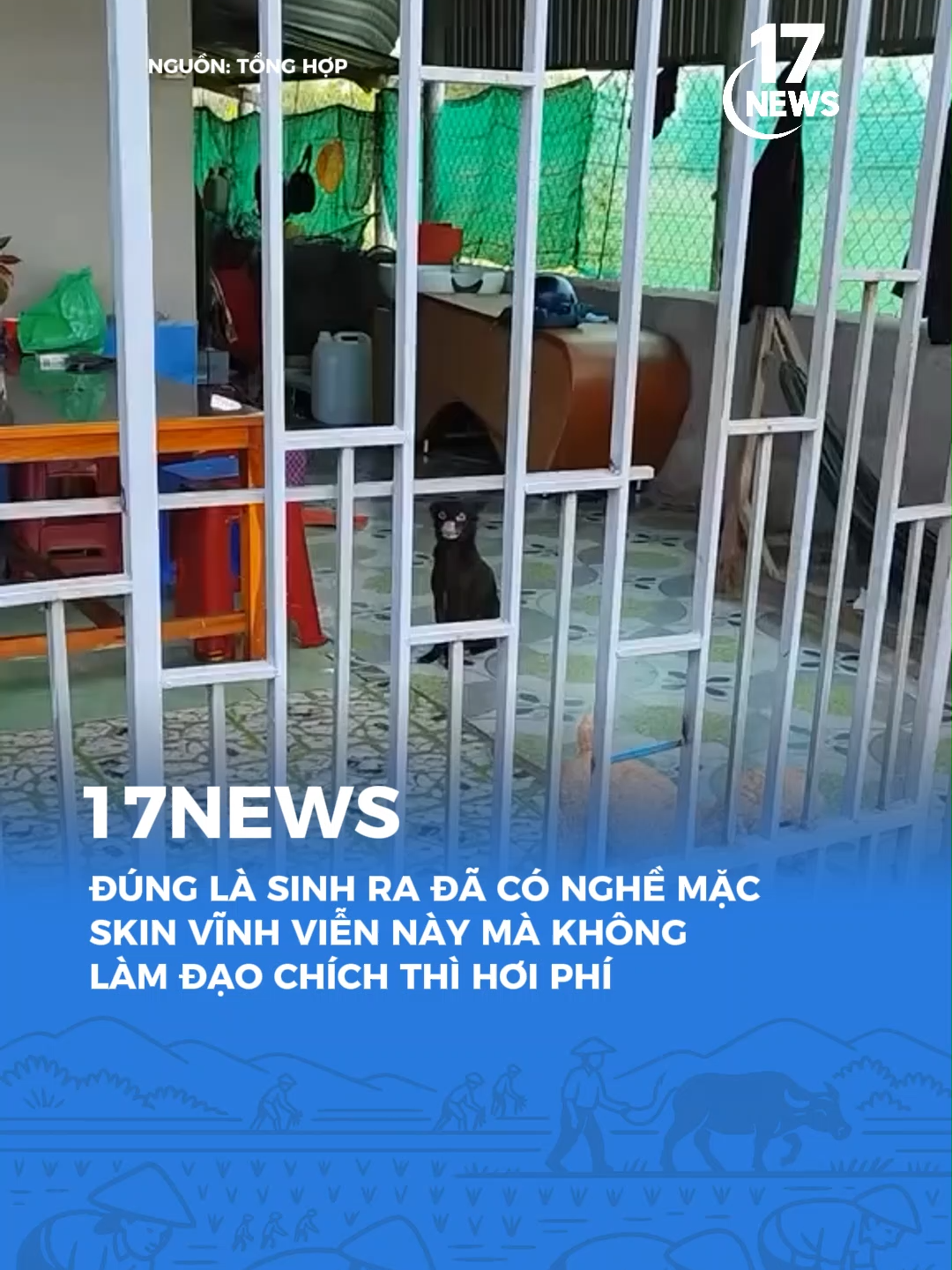 Sinh ra đã có nghề #tiktoknews #17network #17news