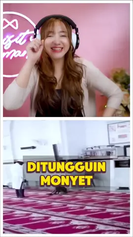 Ditungguin monyet tonton fullnya di YT channel MEISITA REACTION #meisitalomania #jumat #sholat #videolucu 