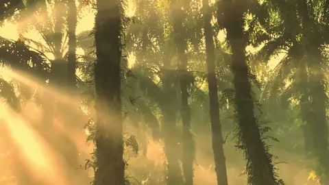 dulu bermain sampai lupa waktu sekarang nyari waktu untuk bermain #songvibes #nostalgia #fyp 