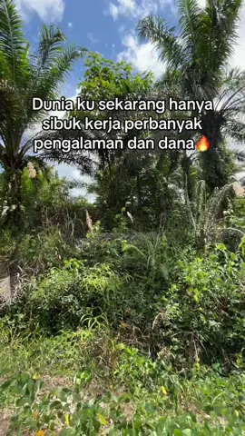Defenisi bahagia gak harus cinta😎🔥🔥 #kuli #kerjakeras #sawitbalap #kebunsawit #foryou 