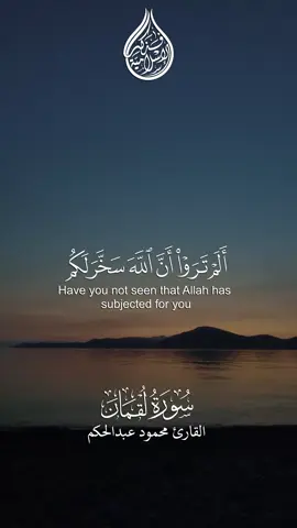 ﴿أَلَم تَرَوا أَنَّ اللَّهَ سَخَّرَ لَكُم ما فِي السَّماواتِ وَما فِي الأَرضِ﴾ [سورة لقمان: ٢٠] || القارئ محمود عبدالحكم | التفسير الميسر: ألم تروا -أيها الناس- أن الله ذلَّل لكم ما في السموات من الشمس والقمر والسحاب وغير ذلك، وما في الأرض من الدوابِّ والشجر والماء، وغير ذلك مما لا يحصى، وعمَّكم بنعمه الظاهرة على الأبدان والجوارح، والباطنة في العقول والقلوب، وما ادَّخره لكم مما لا تعلمونه؟ ومن الناس مَن يجادل في توحيد الله وإخلاص العبادة له بغير حجة ولا بيان، ولا كتاب مبين يبيِّن حقيقة دعواه. #قرآن_كريم #قرآن #quran #fyp #قناة_فذكر_الإسلامية