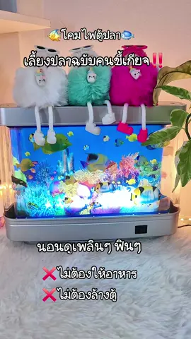 ล้างปลาฉบับคนขี้เกียจให้อาหาร🥰#โคมไฟตู้ปลา #โคมไฟแต่งห้อง #ของแต่งห้อง #โคมไฟมินิมอล #พี่นุ้ย369 