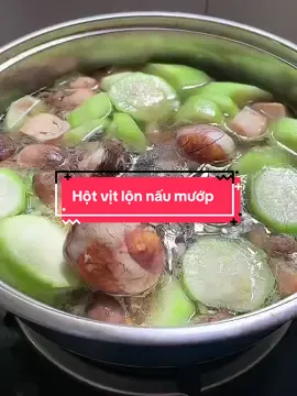 Hột vịt lộn nấu bầu, thơm ngon mời bạn ăn nha #hotvitlonumbau #xuhuong #LearnOnTikTok #ancungtiktok #hocamthu93 