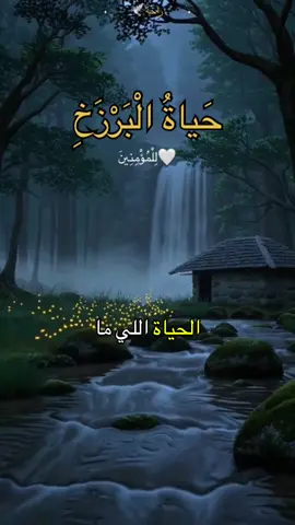 #حياة البرزخ