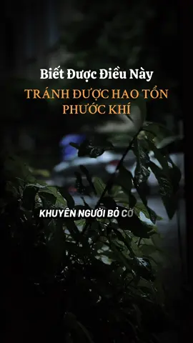 Biết được điều này lợi đủ đường #ngộđểan #phatphapnhiemmau #xuhuongtiktok #viralvideo #fyp 