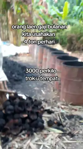 #arang #briket 
