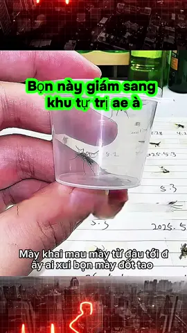 Án mới dành cho muỗi😂#viralvideo #viral #fyp #muoi 
