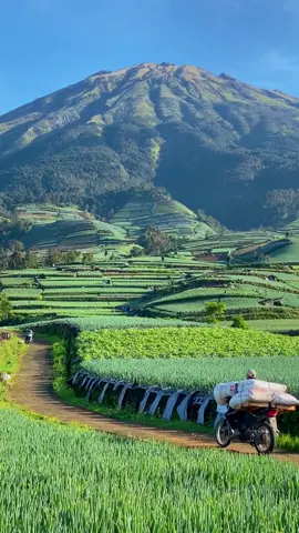 Sukomakmur dengan keindahannya. Private trip dan documentasi dm for pricelist  #sukomakmur #sukomakmurmagelang #sukomakmurkajoran #kajoran #magelang #wisata #wisataindonesia #wisatajogja #jogja 
