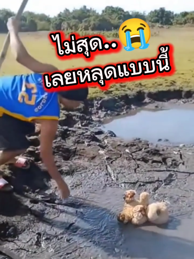 เขี่ยให้ใกล้สุดๆหน่อย ใจร้อนไป! #ตลก #funny #trending #foryoupage #fypシ゚viral 