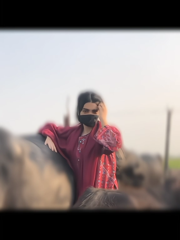 //Mahi Ta Mera Khala Bu Door A>>💯👀🌍// #foryou #hamnahuyar #♥️♥️🥀🥀 #tiktok #unfrezemyaccount🥺🙏 