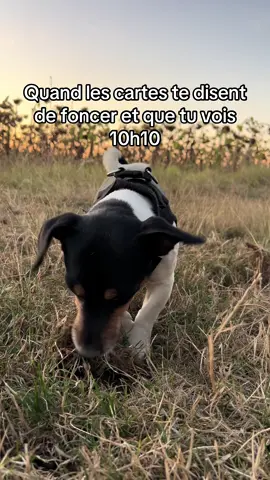 Quand les cartes te disent de foncer et que tu vois 10h10. Les signes à ne pas louper 