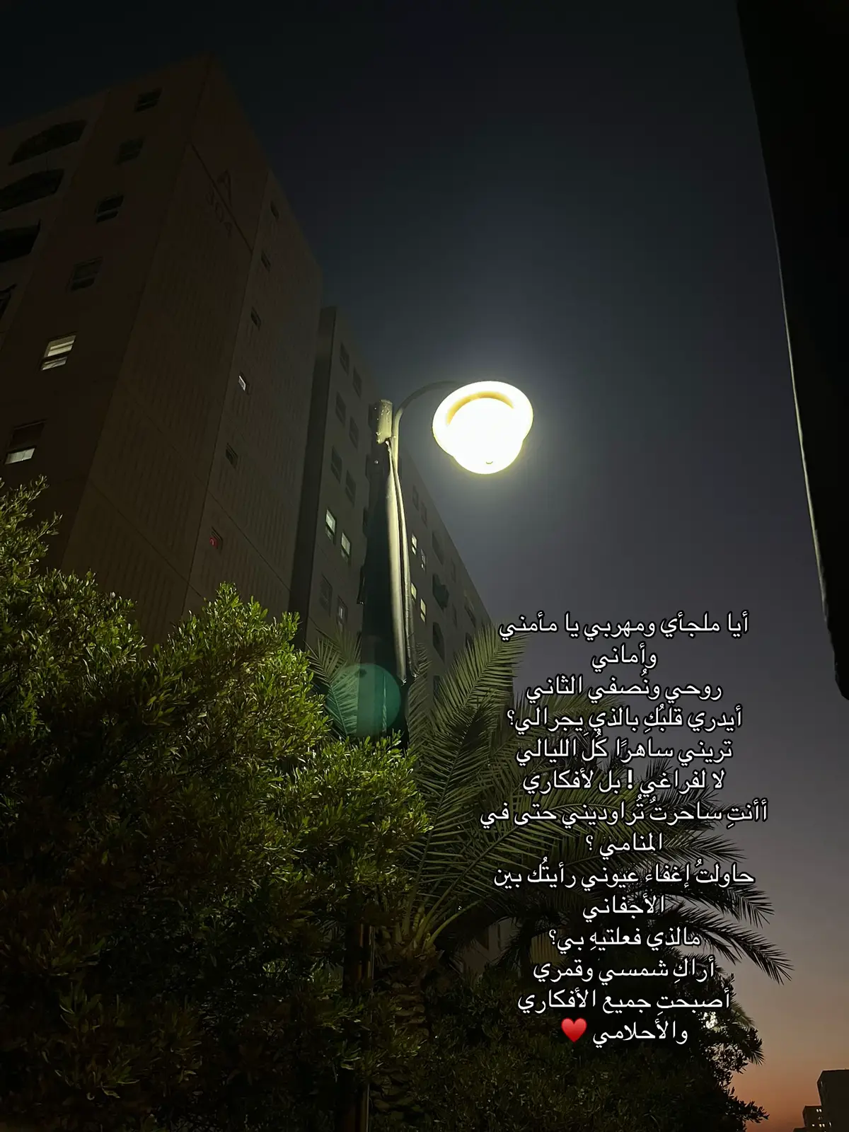 #شعر #احبك #fyp #شارع 