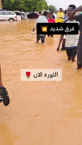 امطار خير و بكره  امدرمان الثوره لفه الزرايب #امطار #سودانيز_تيك_توك_مشاهير_السودان🇸🇩 #محظور_من_الاكسبلور🥺 #اكسبلورexplore #مشاهدات 