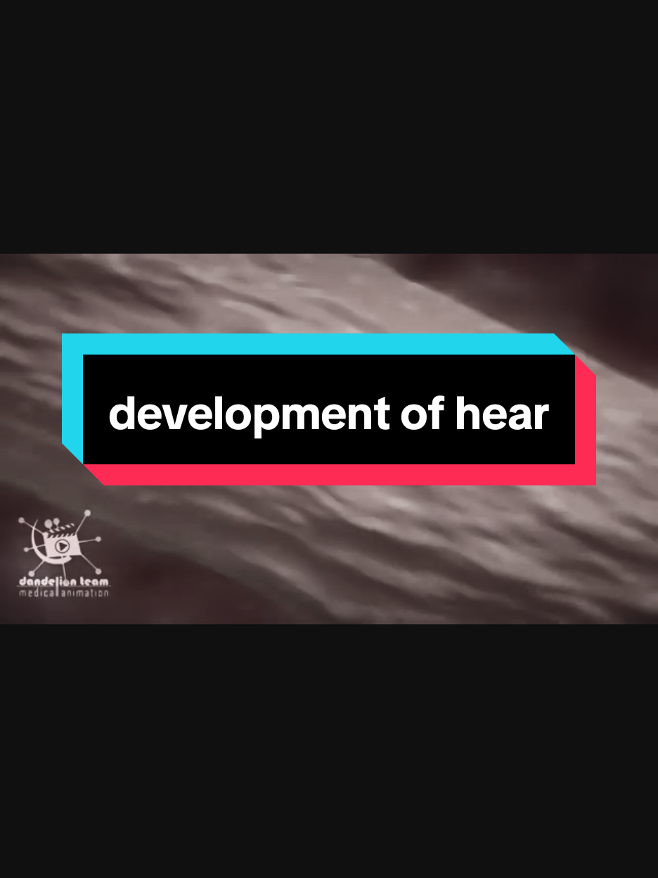 development of heart 💜#foryou #drnasrullah #foruyou #100k #500k #1millionaudition #foryoupage❤️❤️ #please #unfreezemyacount #tik_tok #fyp #videoviral #py #pyp #pypシ 