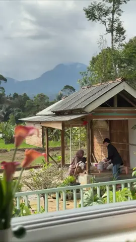 Aku mau kasih tips nih masak jengkol Biar empuk dan baunya berkurang, btw ini aku baru beli tempat penyimpanan serbaguna dari Goto, bahan makanan jadi tersimpan rapi @GOTO Living 