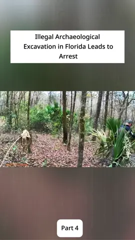 Illegal Archaeological  Excavation in Florida Leads to  Arrest
