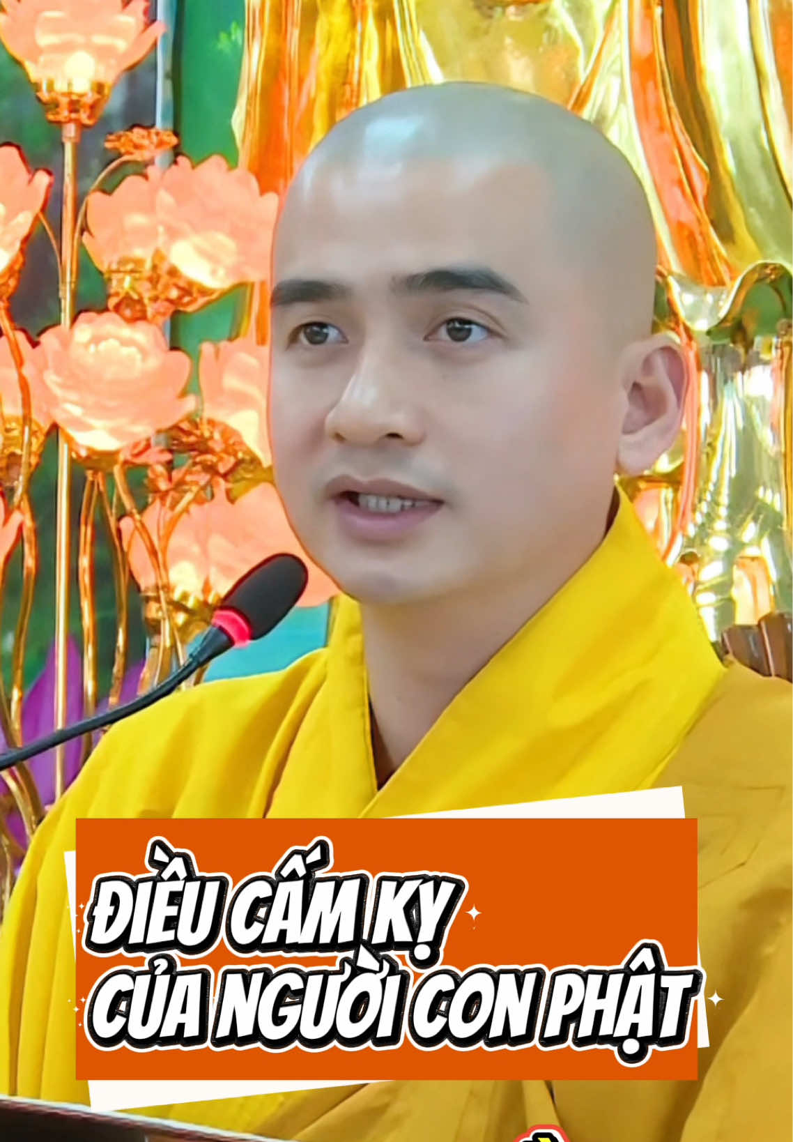 Điều cấm kỵ của người Phật tử là không được chê bai, không được xem thường các tôn giáo khác. #SP #ThíchMinhThiền 