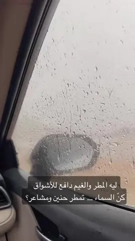 ريحة مطر تحضن شوارعنا بحنيـن  وفينـا أمانـي تكثر إذا رش المطـر 🌧💙 #امطار_الخير  #القوز_حلي_القنفذة  #ريم_الجنوب909 