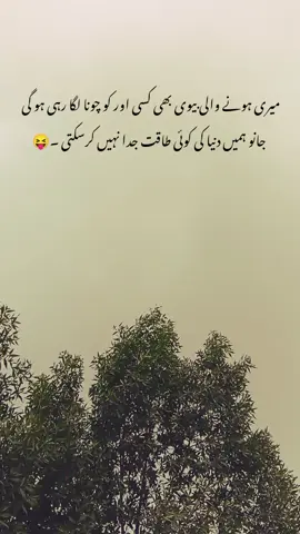 میری ہو۔ے والی بیوی بھی کسی اور کو چونا لگا رہی ہو گی ۔😝😝 .#foryou #foryoupage #poetrylovers🥀 #fyppppppppppppppppppppppp #1millionaudition @TiktokPakistanOfficial 