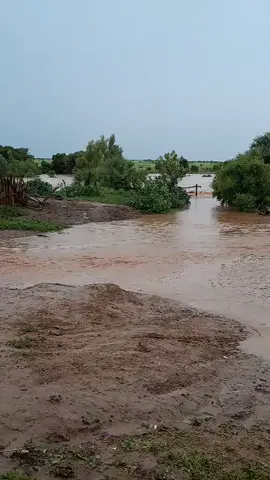 Ce mercredi 27 août 2025, à Boully comme dans tout le Guidimakha, nous rendons grâce à Allah, l’unique qui peut accorder une telle abondance d’eau.