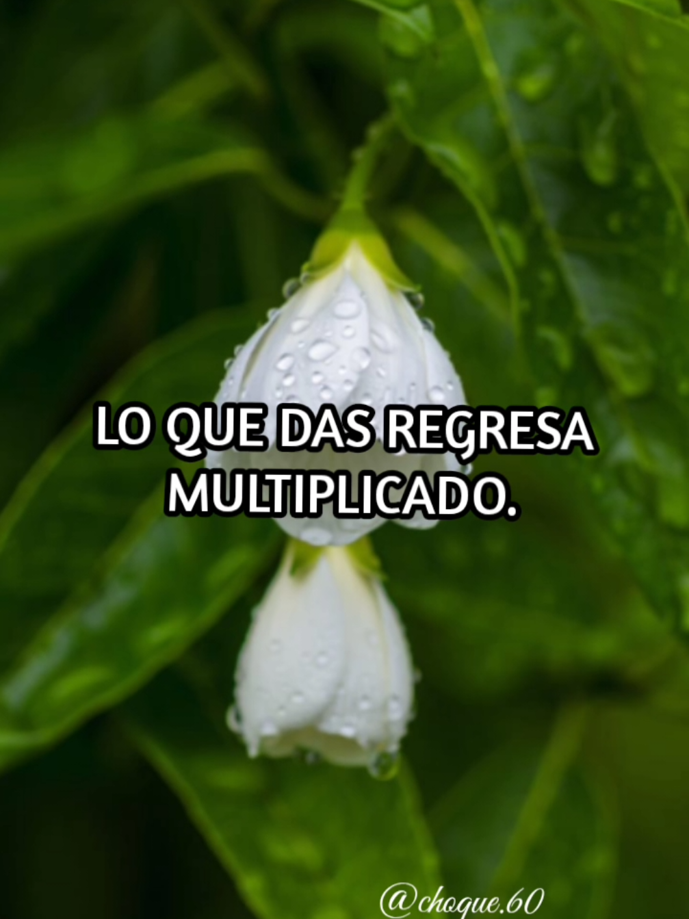 #frasespositivas #motivación #mensajes #cosejos #amorpropio 